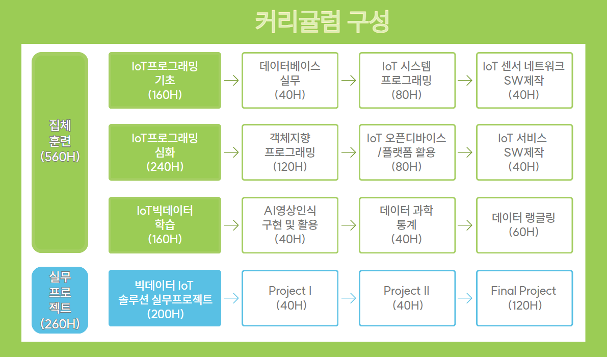 교육과정 커리큘럼 안내 이미지 1